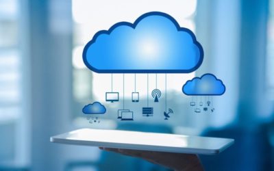 What Do You Get When You Blend Cost Optimization with Customization?